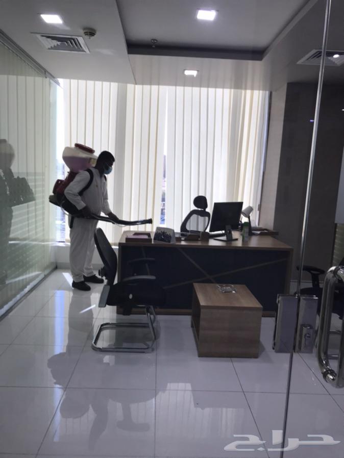شركة مكافحة حشرات بجدة وتعقيم ضد كورونا
