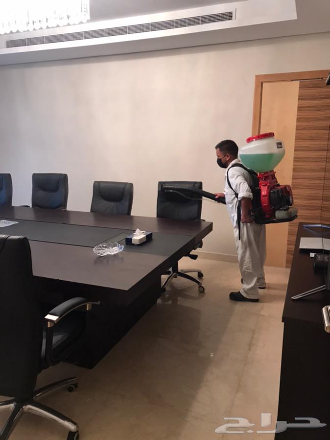 شركة مكافحة حشرات بجدة وتعقيم ضد كورونا