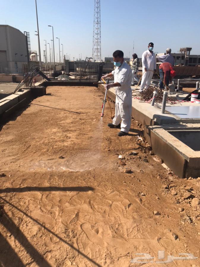 شركة مكافحة حشرات بجدة وتعقيم ضد كورونا