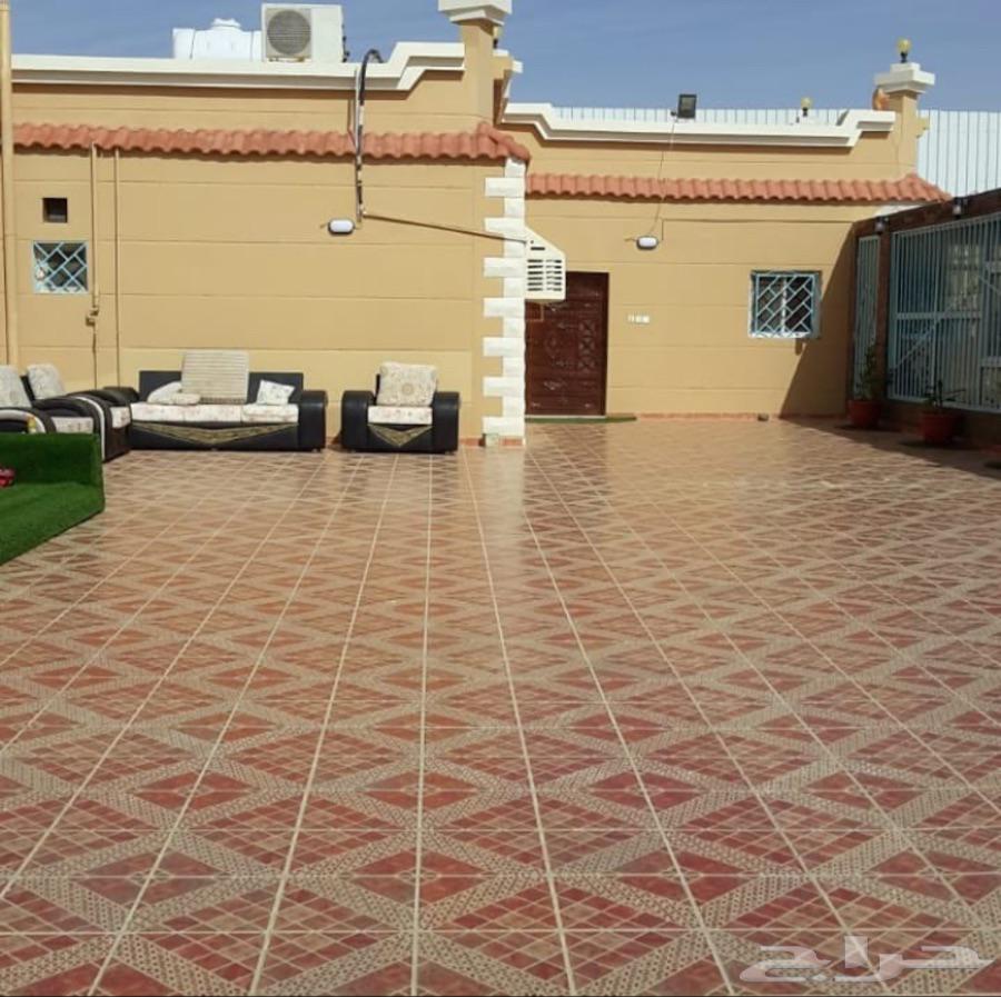 حراج العقار استراحة للايجار اليومي