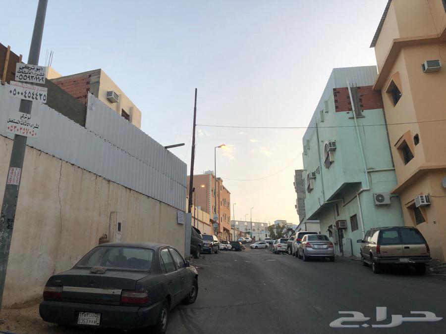 وادي النمل بيوت من زجاج رموها بـ حجر أخبار السعودية صحيفة عكاظ