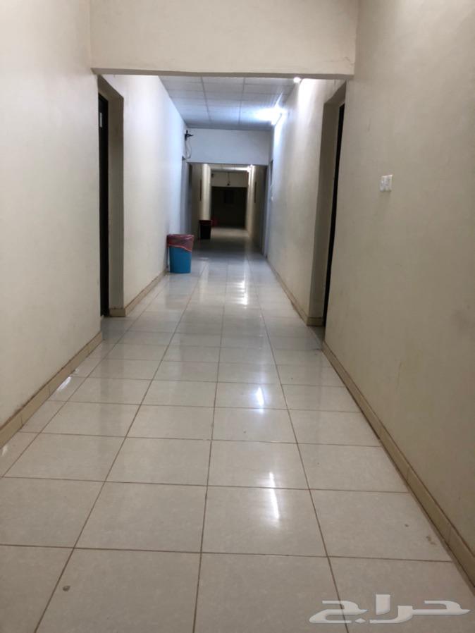 حراج العقار غرفه عزاب للايجار شهري بحي الفهد شروره شامل نت وماء وكهرب حراج العقار غرفه عزاب للايجار شهري بحي الفهد شروره شامل نت وماء وكهرب