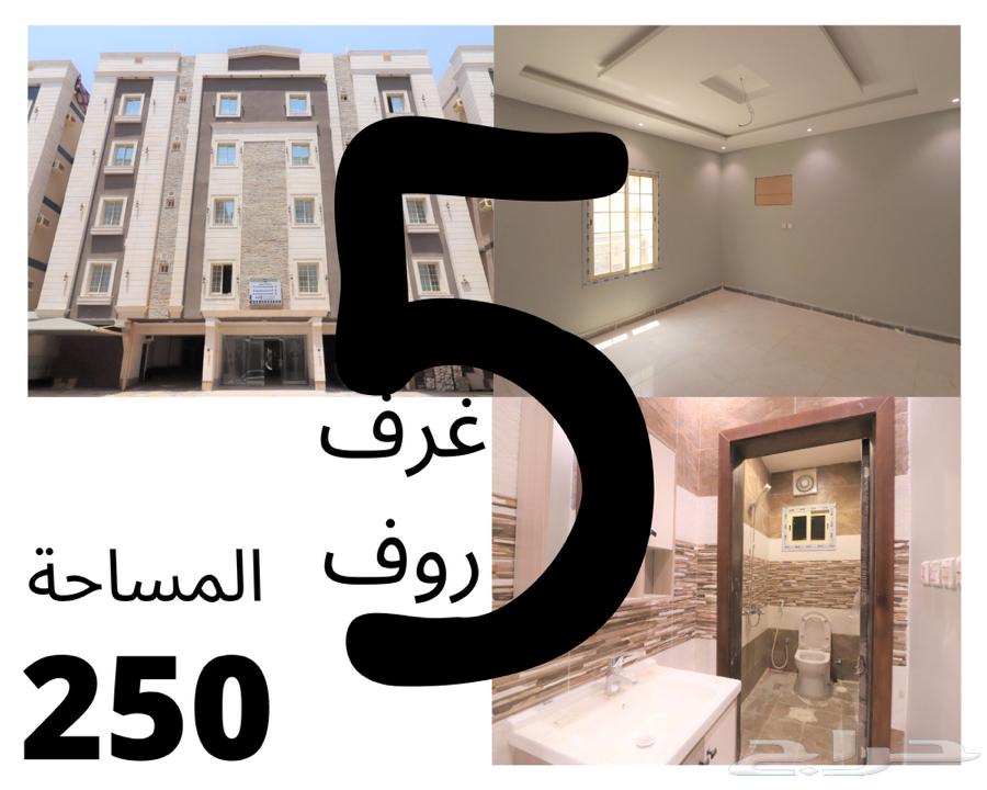 شقة روف تمليك فاخرة بسعر لايفوت شقة روف تمليك فاخرة بسعر لايفوت