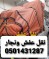 دباب نقل عفش جده يوجد فك وتركيب