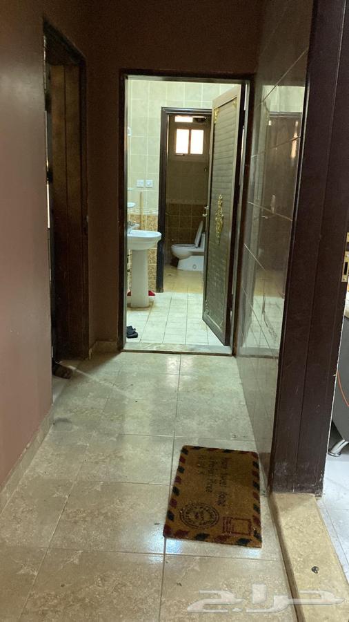 Apartment for rent in Olaya district موقع حراج