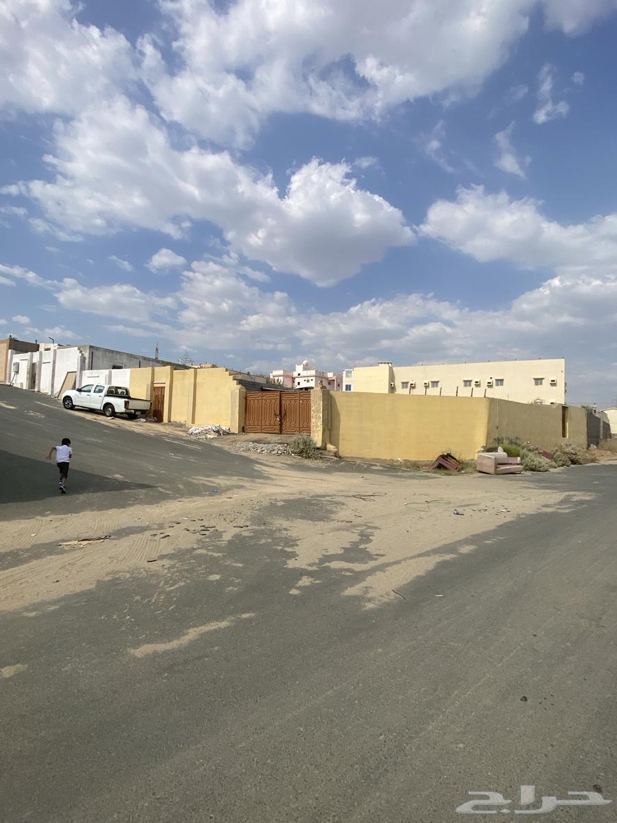 ارض للبيع