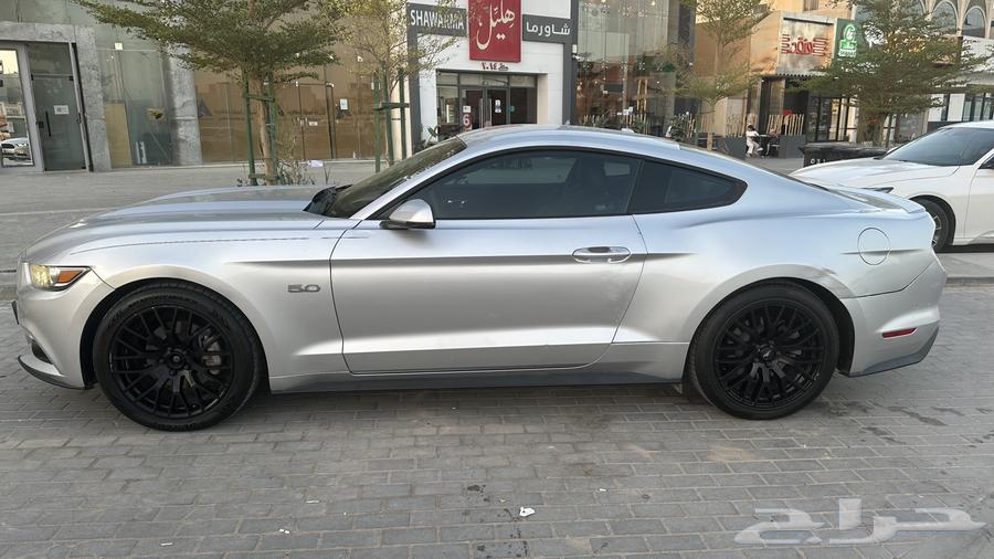 موستنج ايكوبوست 201563376041813123112