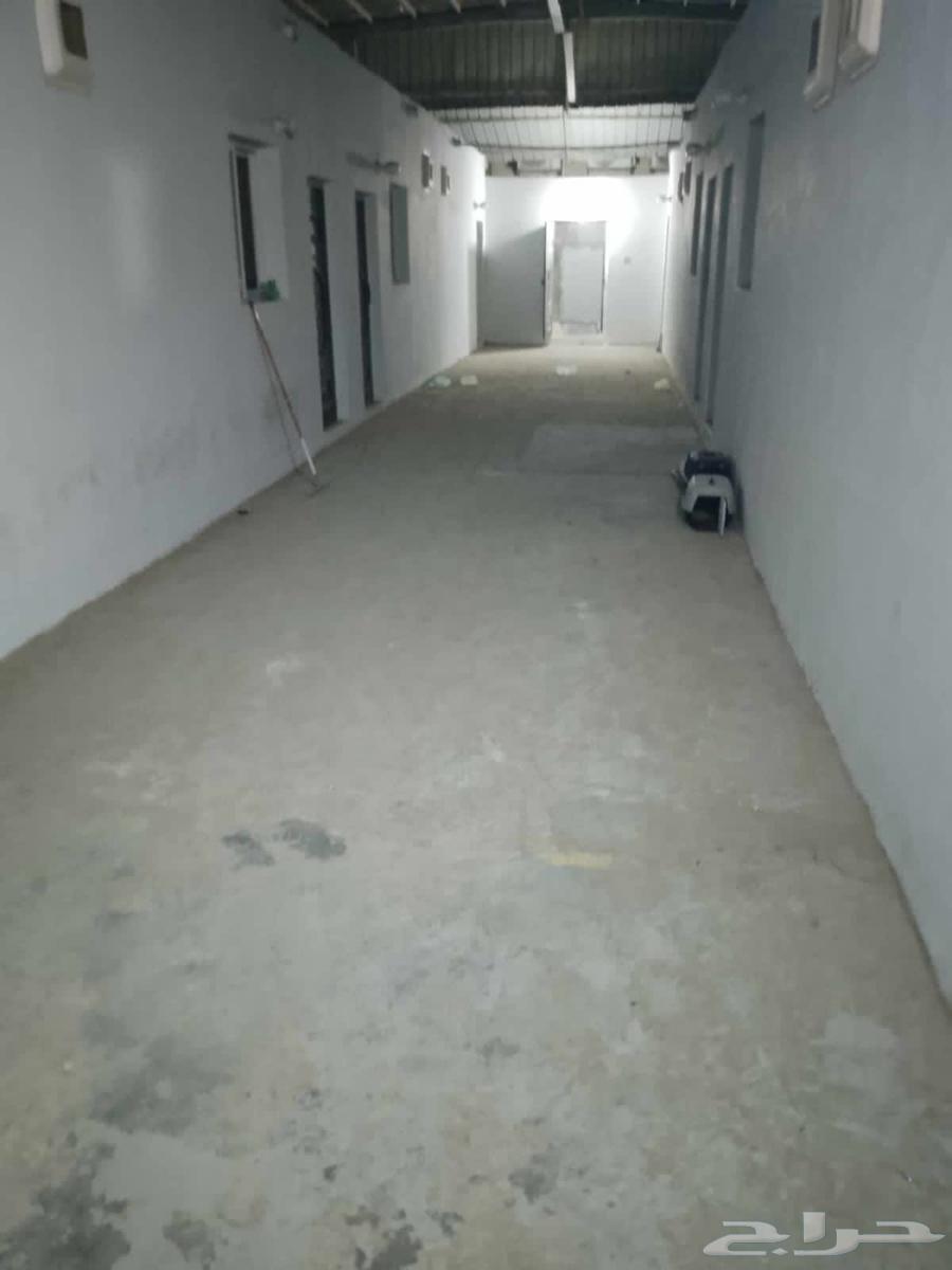 غرفة للإيجار