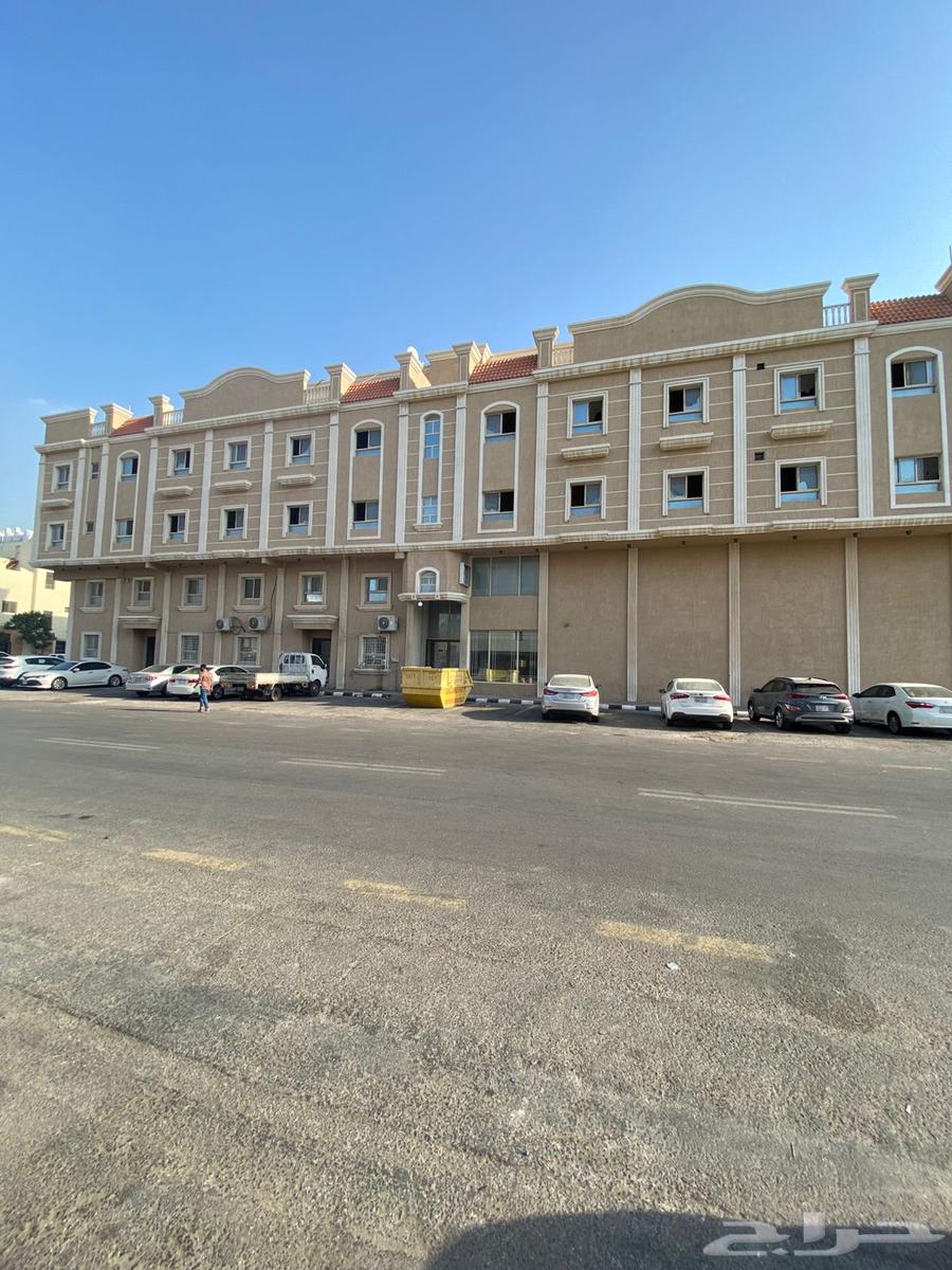 شقة للإيجار