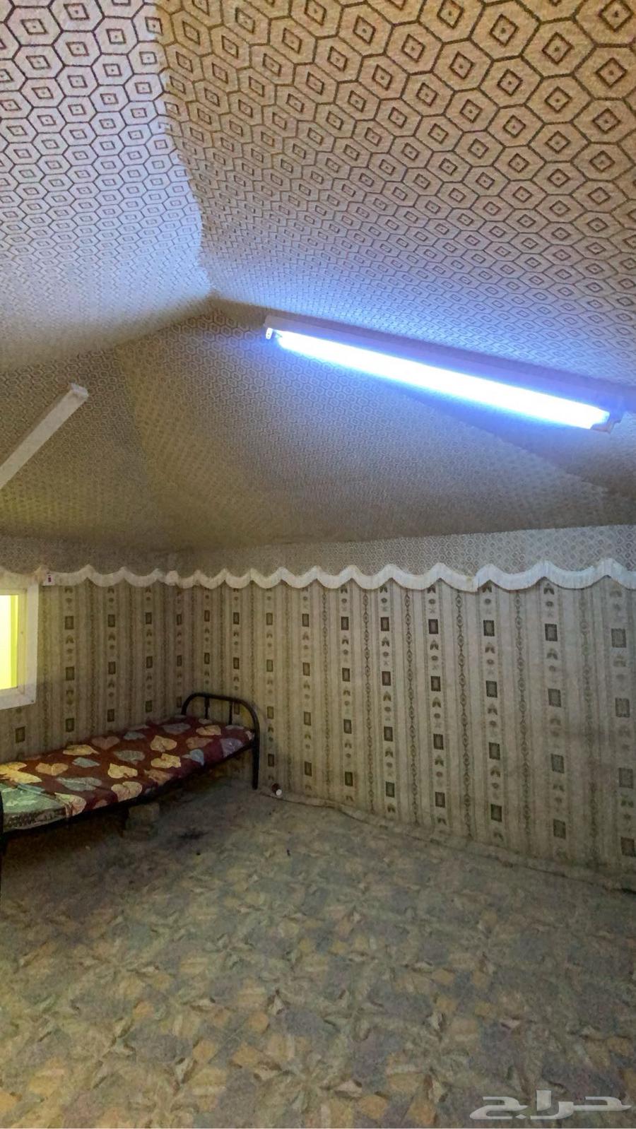 بيت شعر63326774736641111