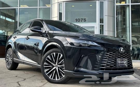 2024 LEXUS RX 350 LUXURY PKG63616155120130111