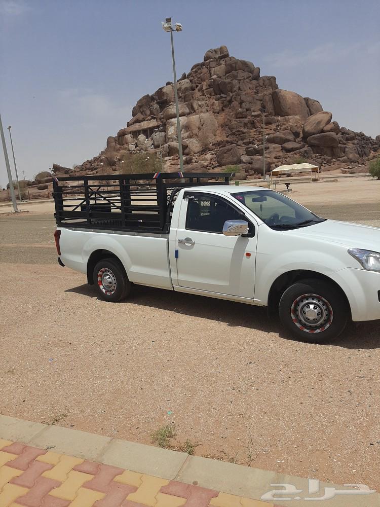 توصيل دجاج وطيور63326420949763112