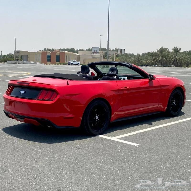 Wanted Wanted Wanted Mustang Convertible 2015 and above around 50,60 thousand63616281376259110