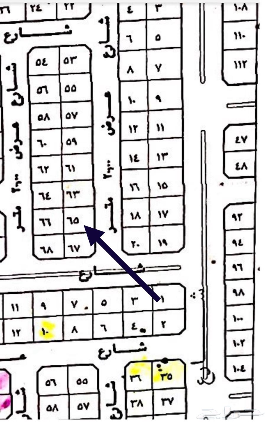We buy and sell lands in Al-Qatif, Al-Hajar Al-Qatif.63005824763265114