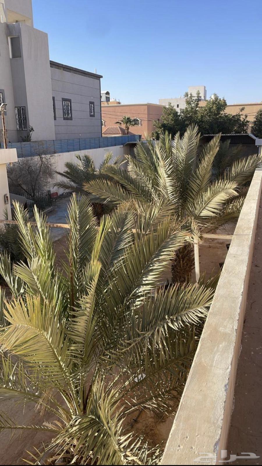 Rent break in Al-Jubailah63005853244417113