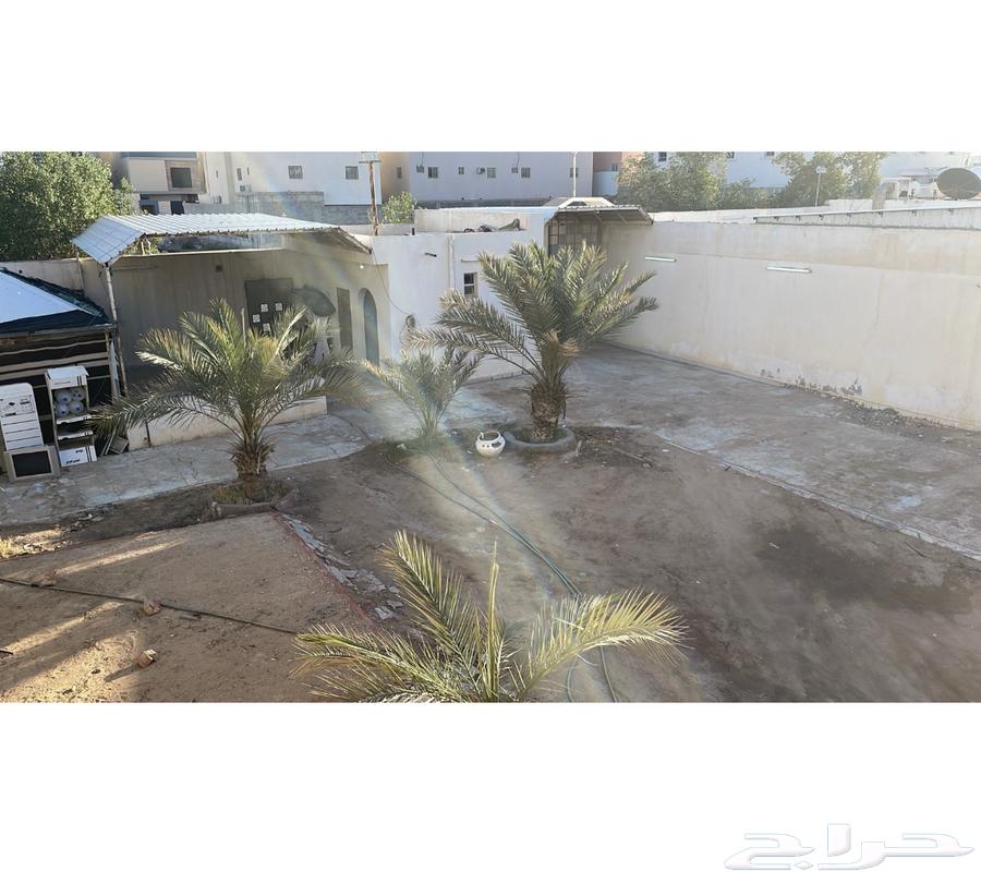 Rent break in Al-Jubailah63005853244417111