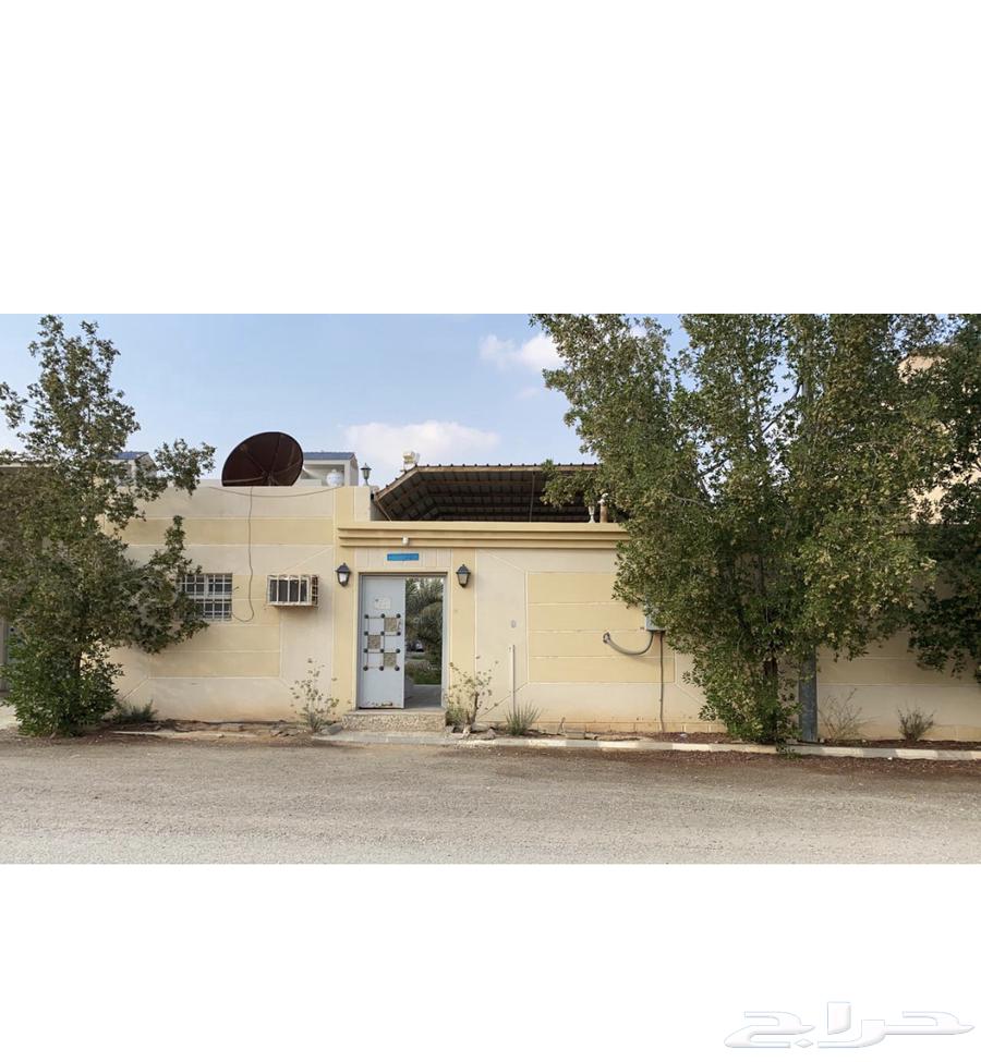 Rent break in Al-Jubailah63005853244417117