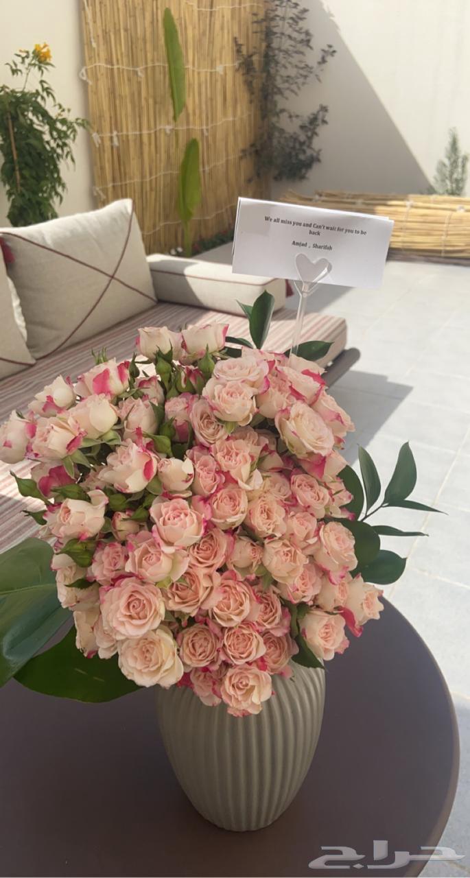 خيرزان طبيعي63325604249731112