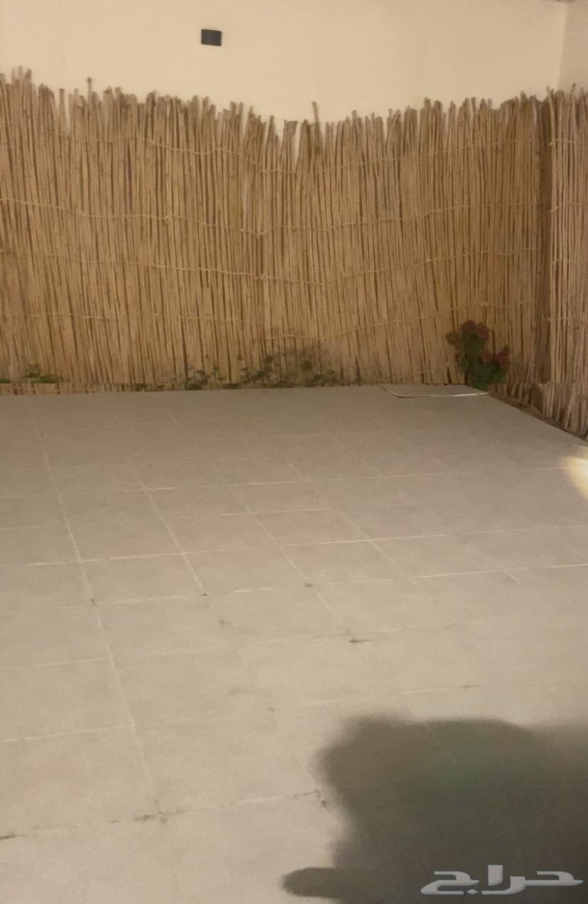 خيرزان طبيعي633256042497311120
