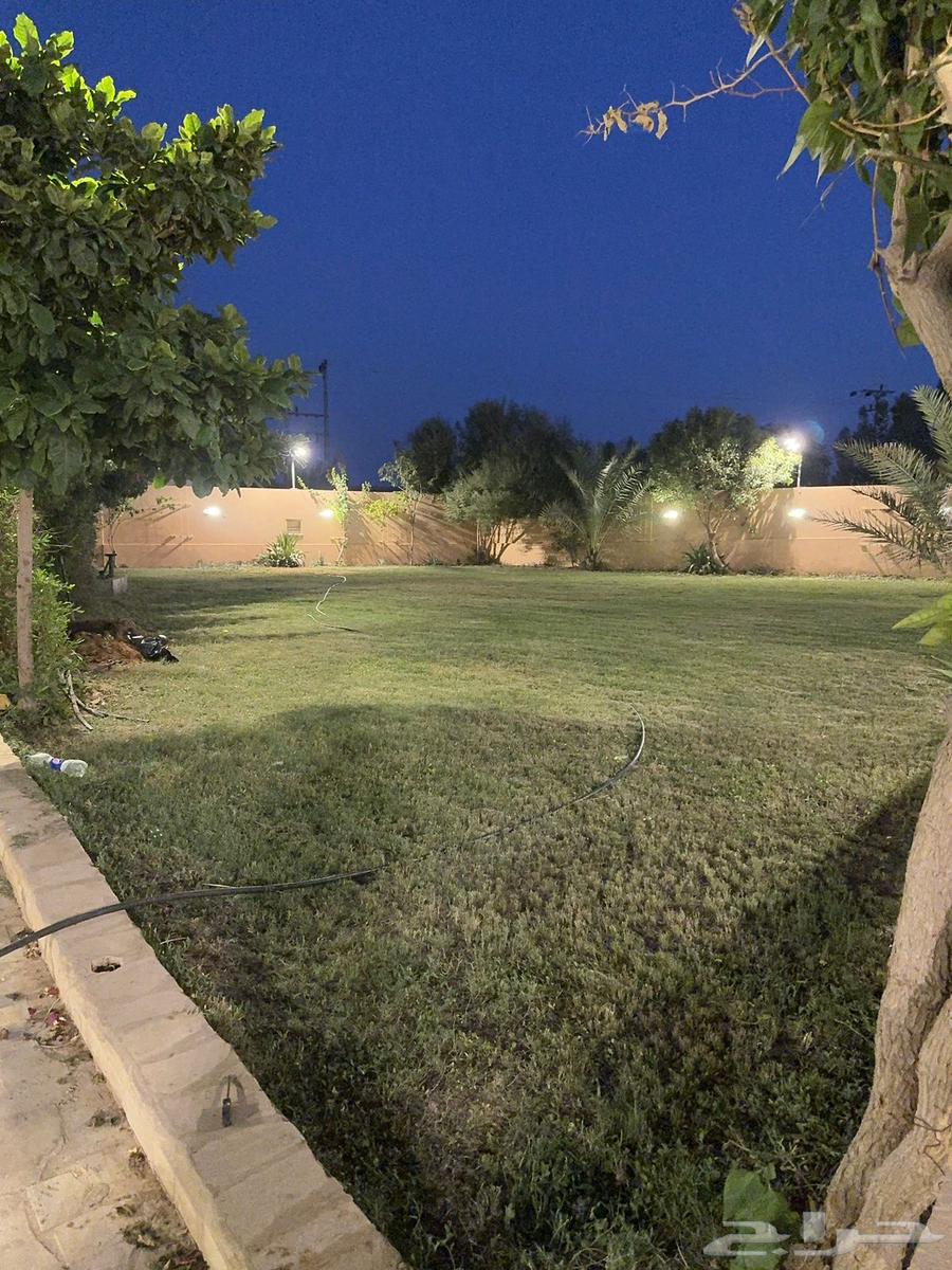 Daily rental farm in Rawdat Sidir63005907863425111