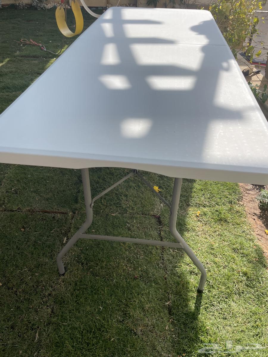 A table that sucks the new goat's pussy used a few times and little.63324706747139114