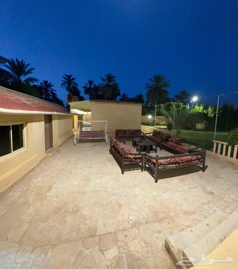 Daily rental farm in Rawdat Sidir63005907863425112