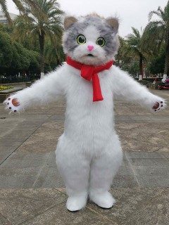 Cartoon character costume63324376565891111