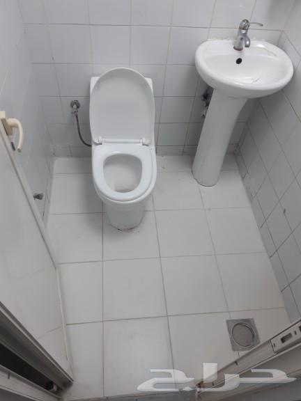 Plumber and electrician and renovation63027061861761118