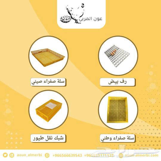 معالف وسقايات طيور جملة63324707227010112