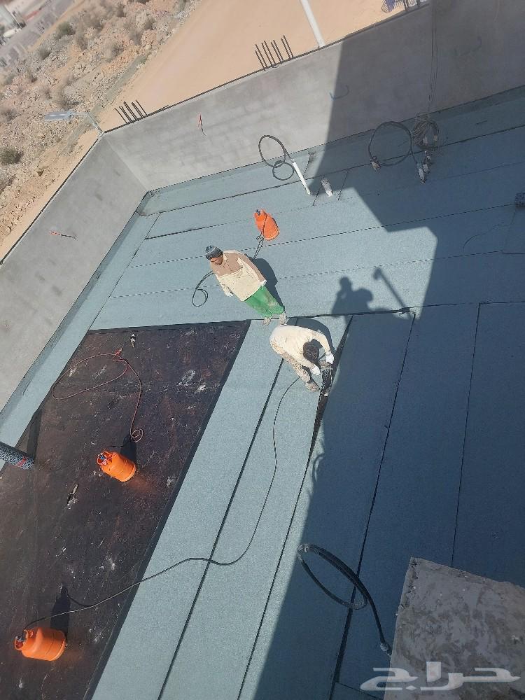 Insulators63005937644418111