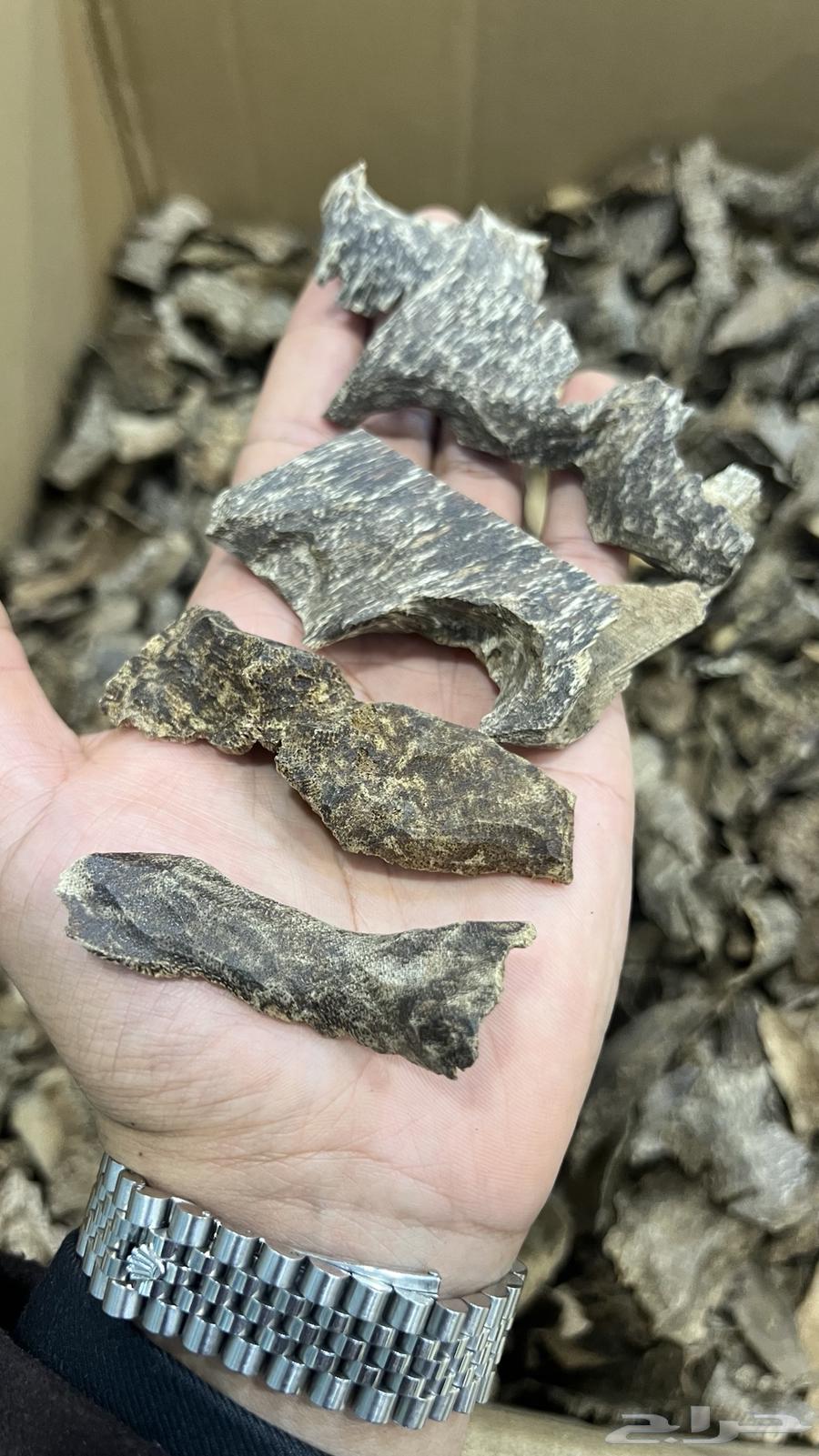 Return Vietnamese wholesale sales corners63323660629761111