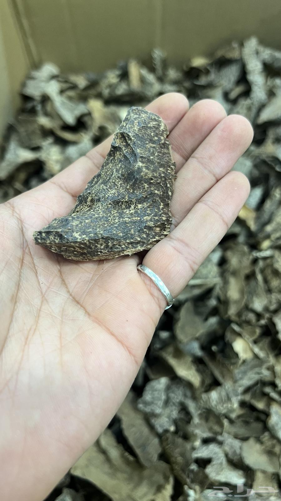Return Vietnamese wholesale sales corners63323660629761112
