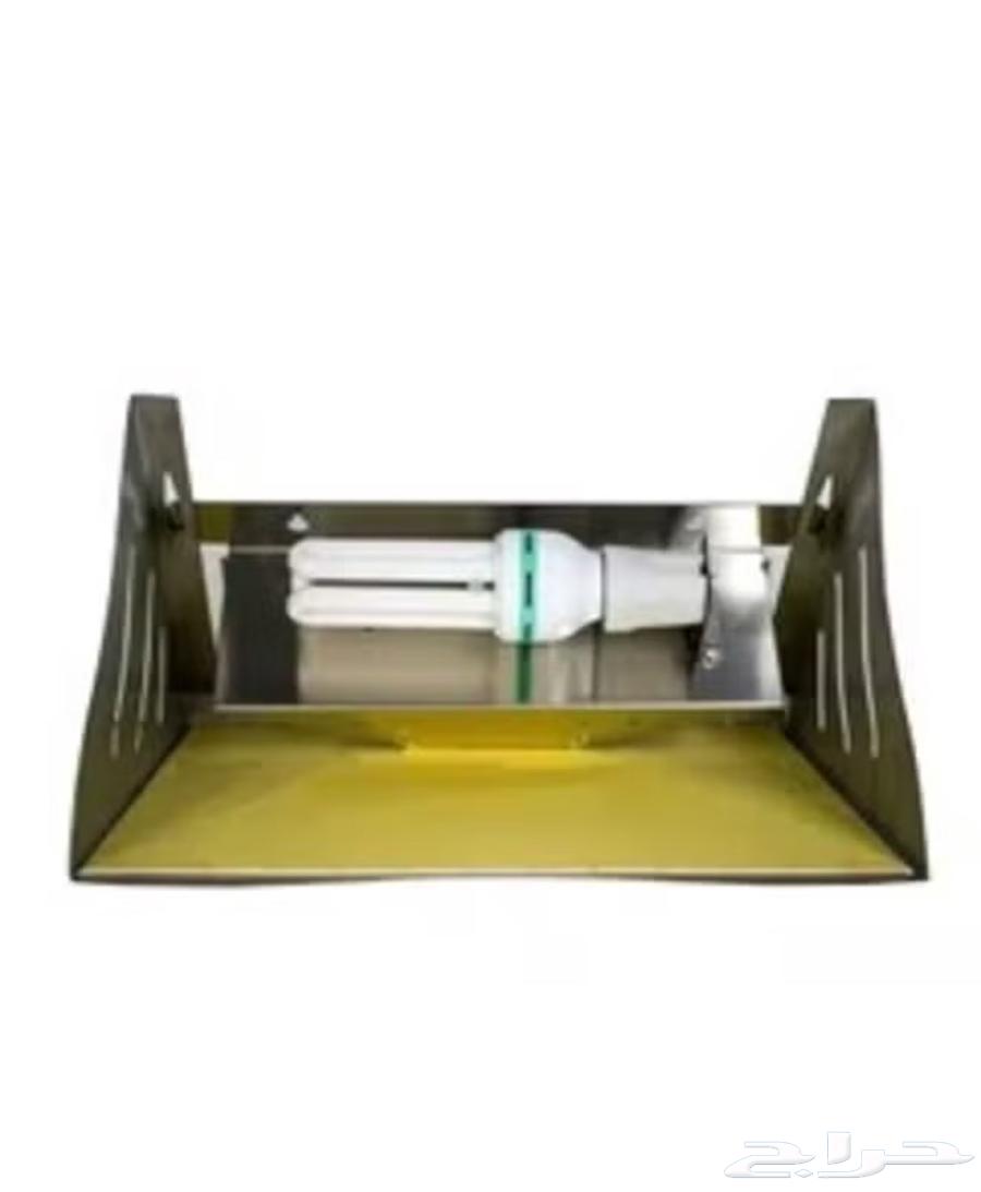 Insect trap63005992467843112