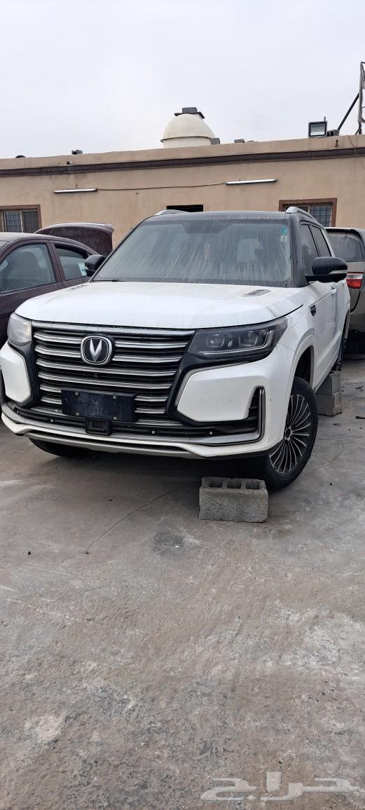 شانجان63616309118082113