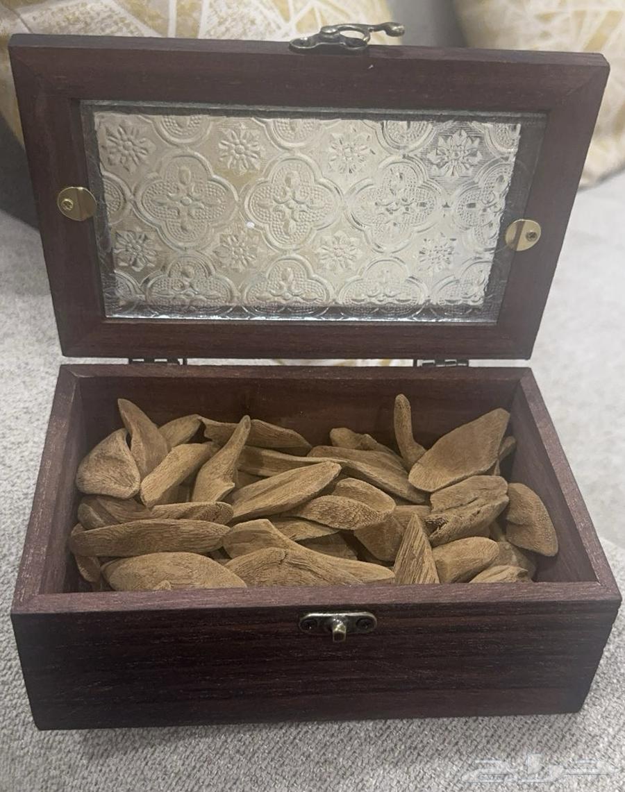 عوده لاوسي محسن طبيعي دبل سوبر  الربع ب750  والاوقيه ب10063323096498049112
