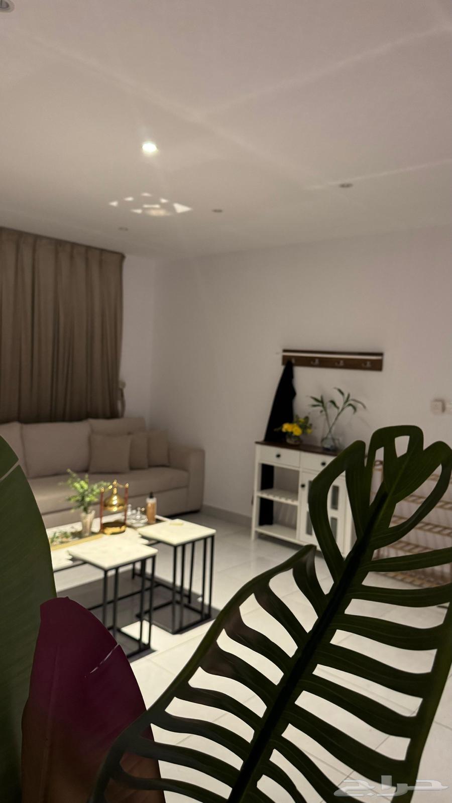 Annual rental apartment63006317705217114