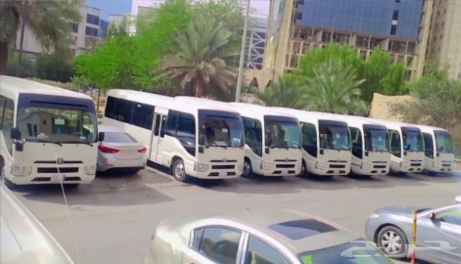 باصات كوستر تويوتا للإيجار موديلات جديد 2020 إلى202463616465916289111