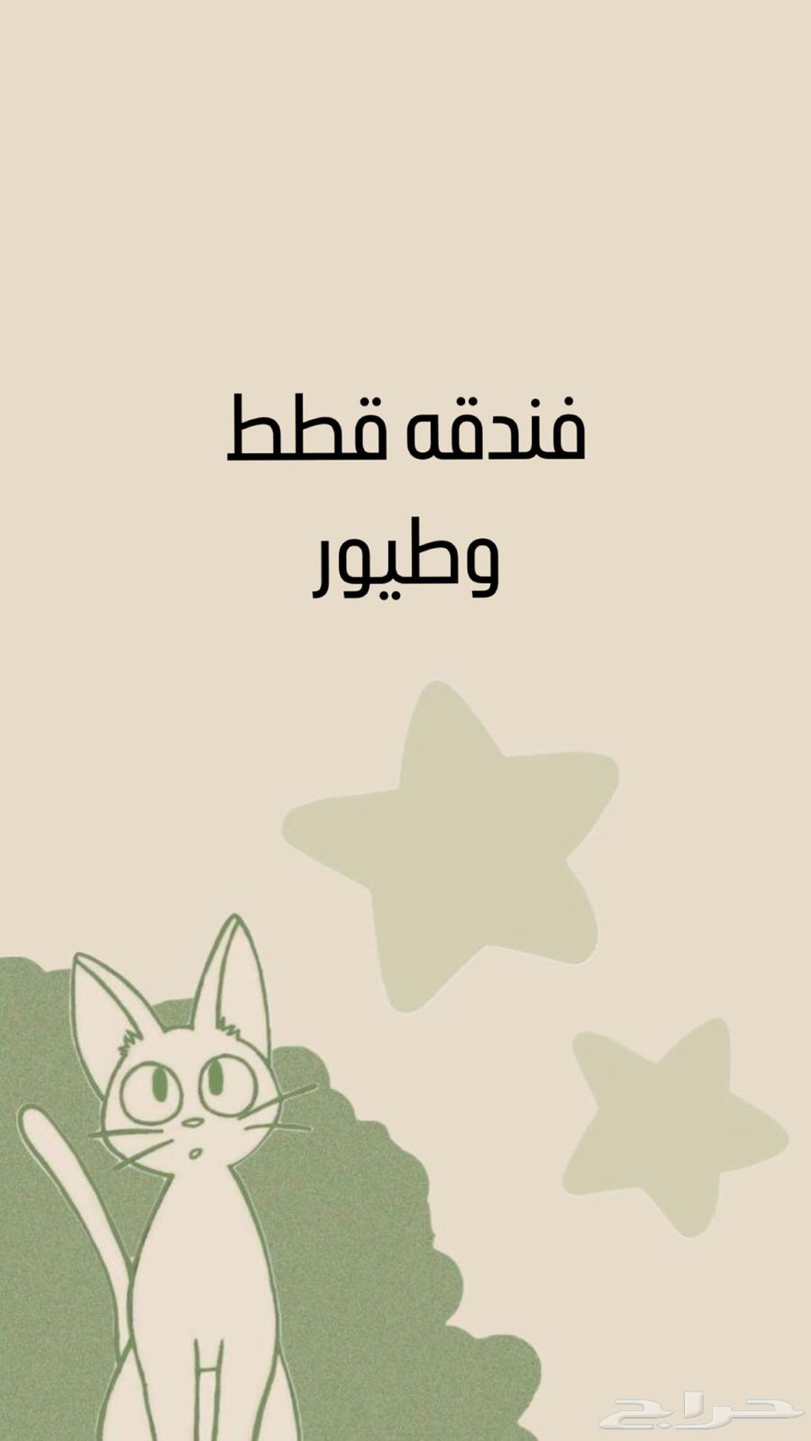 فندقه قطط وطيور633189101489951111
