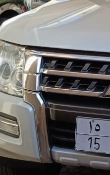 Selling by plate, model 201963616621440001113