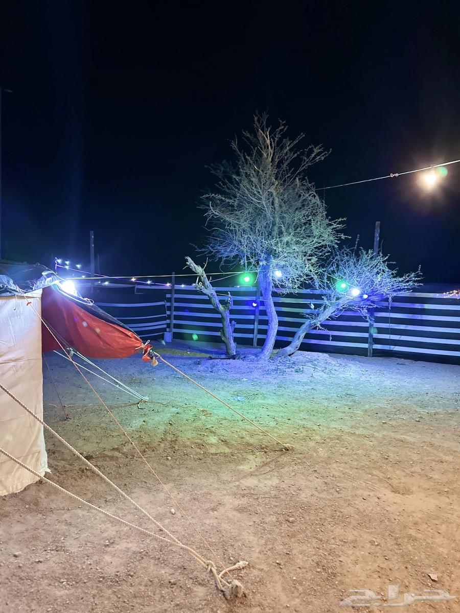 Camp behind the station, near Ha'il, for rent63317198123138111