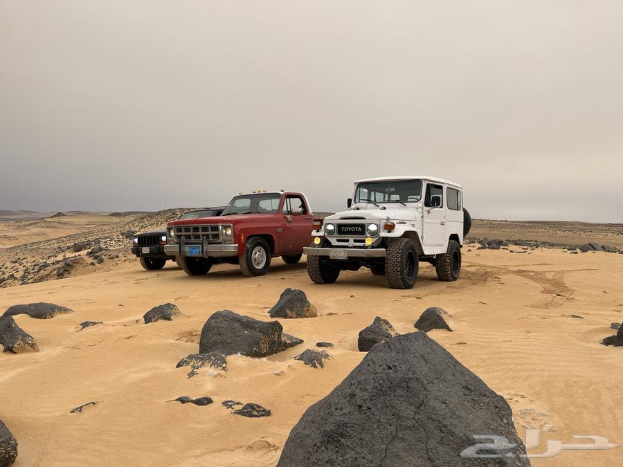 White Jeep Wrangler Model 198463616757204226111