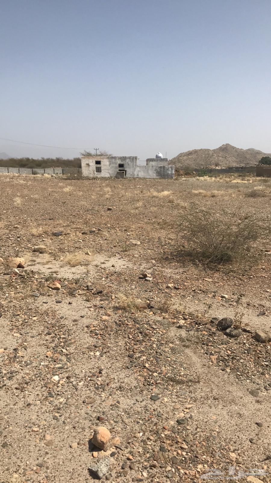 For sale area 890063006075664259113