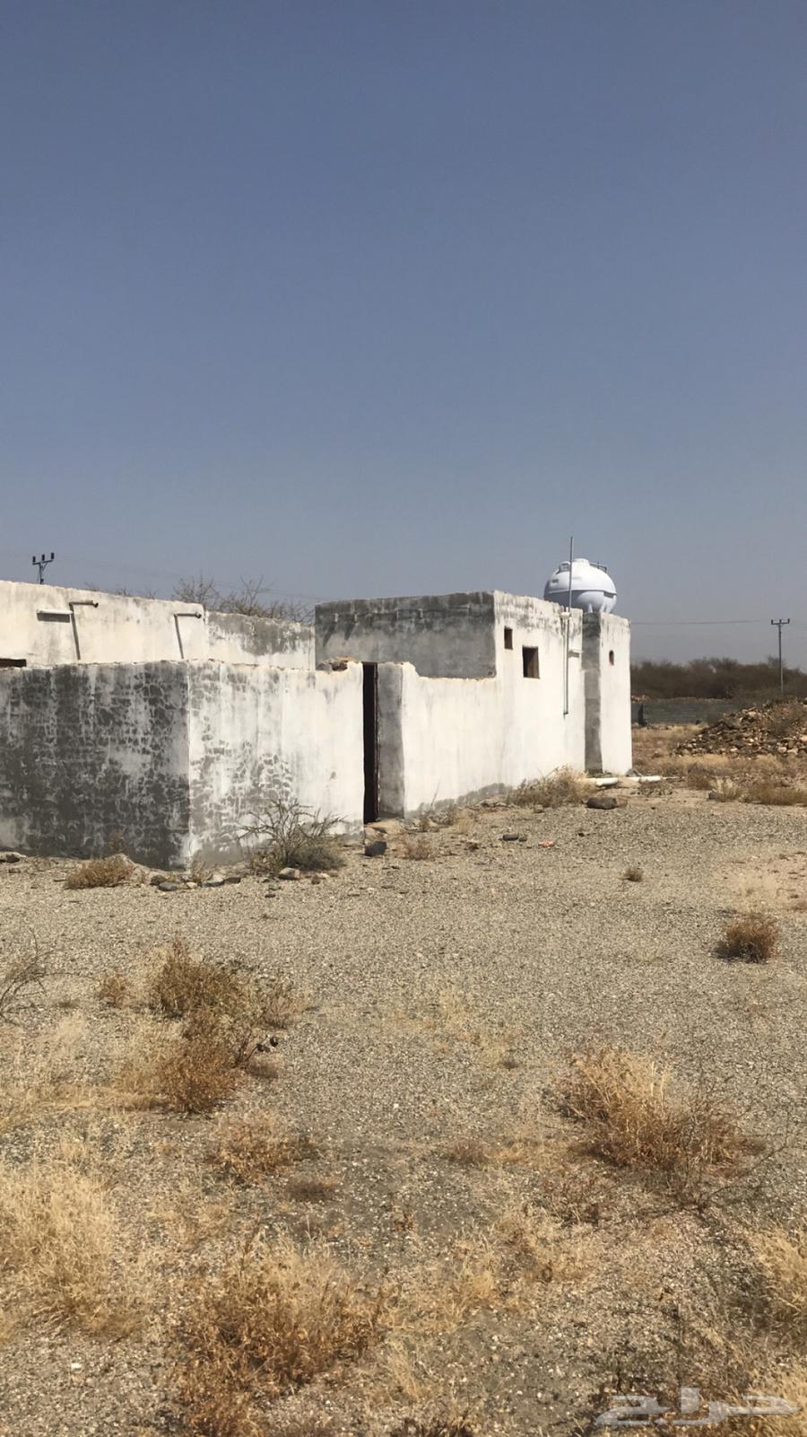 For sale area 890063006075664259112