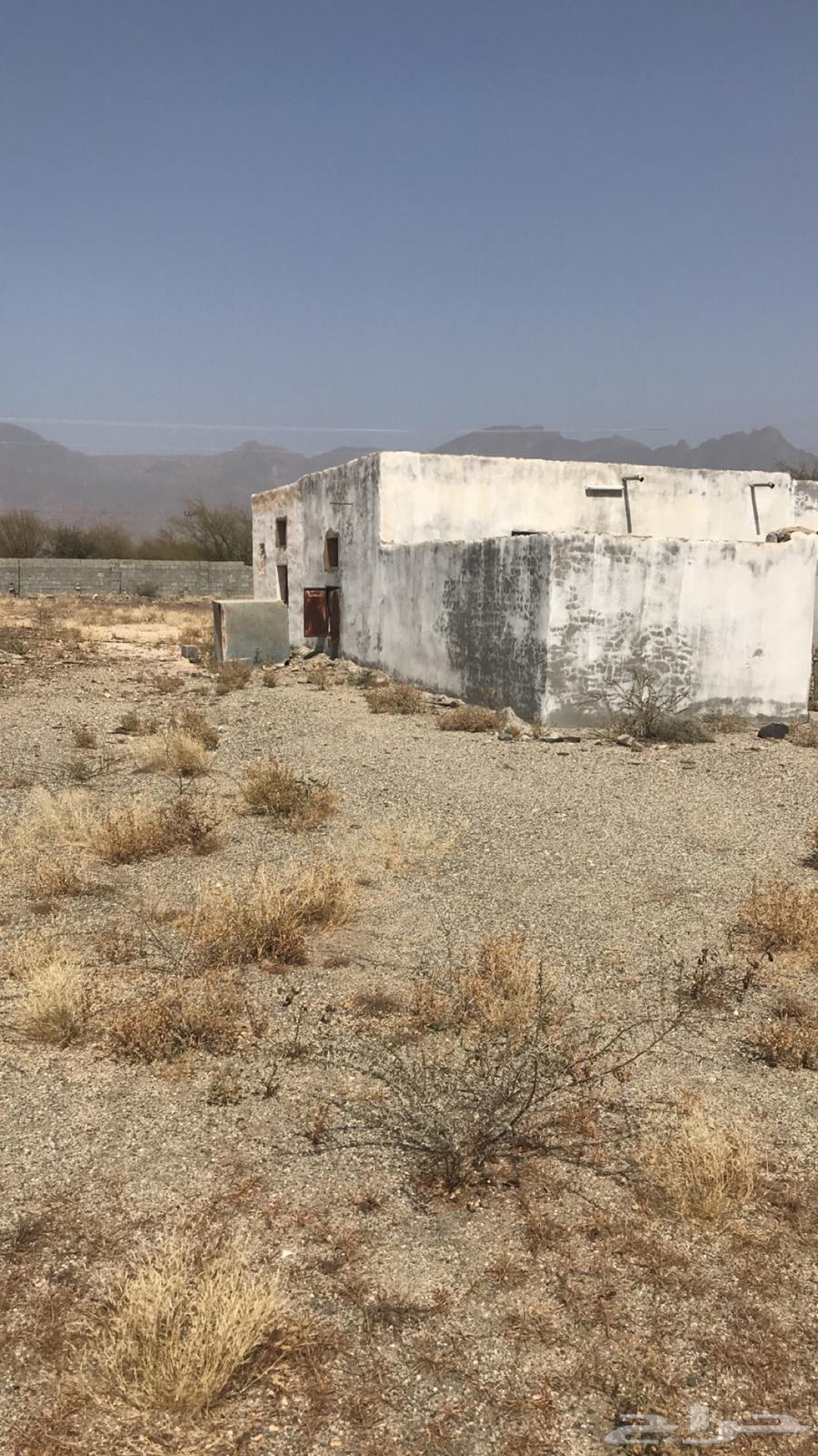 For sale area 890063006075664259111