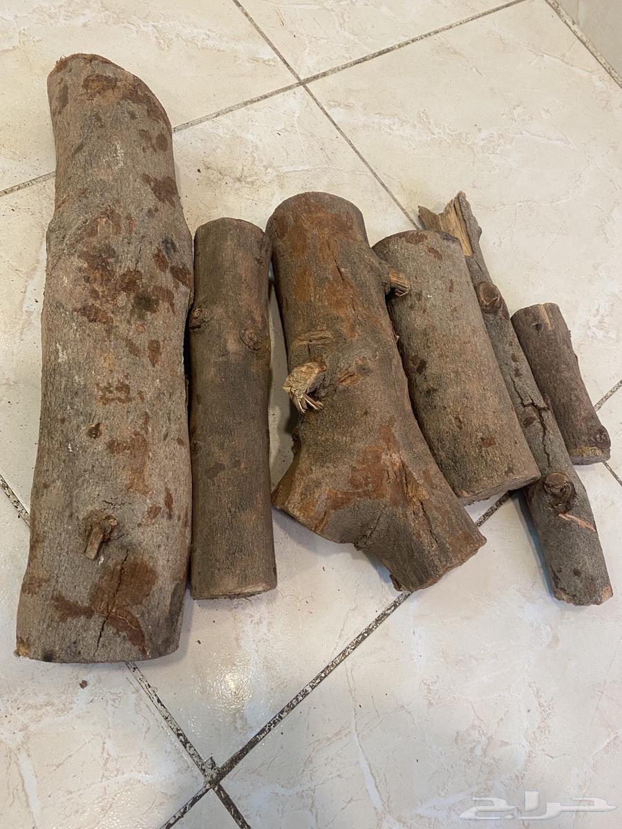 فحم وحطب دفوه مستورد جملة63316005204099114
