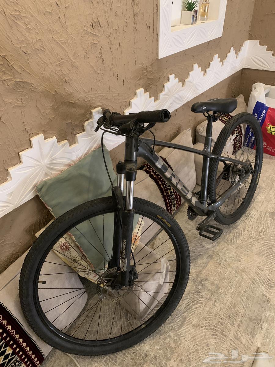 Trek Marlin 5 M 29 BK mountain bike63315781694723111