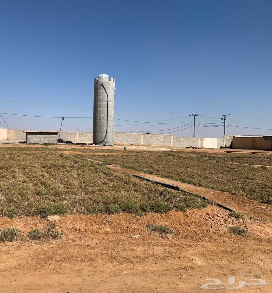 For sale, a farm in the Al-Thaqafa district63006106135298112