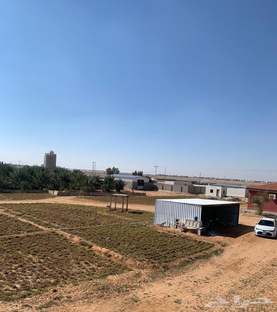 For sale, a farm in the Al-Thaqafa district63006106135298111