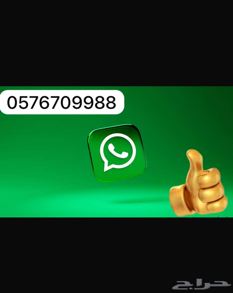 حلوة حائل علب63312440881667113