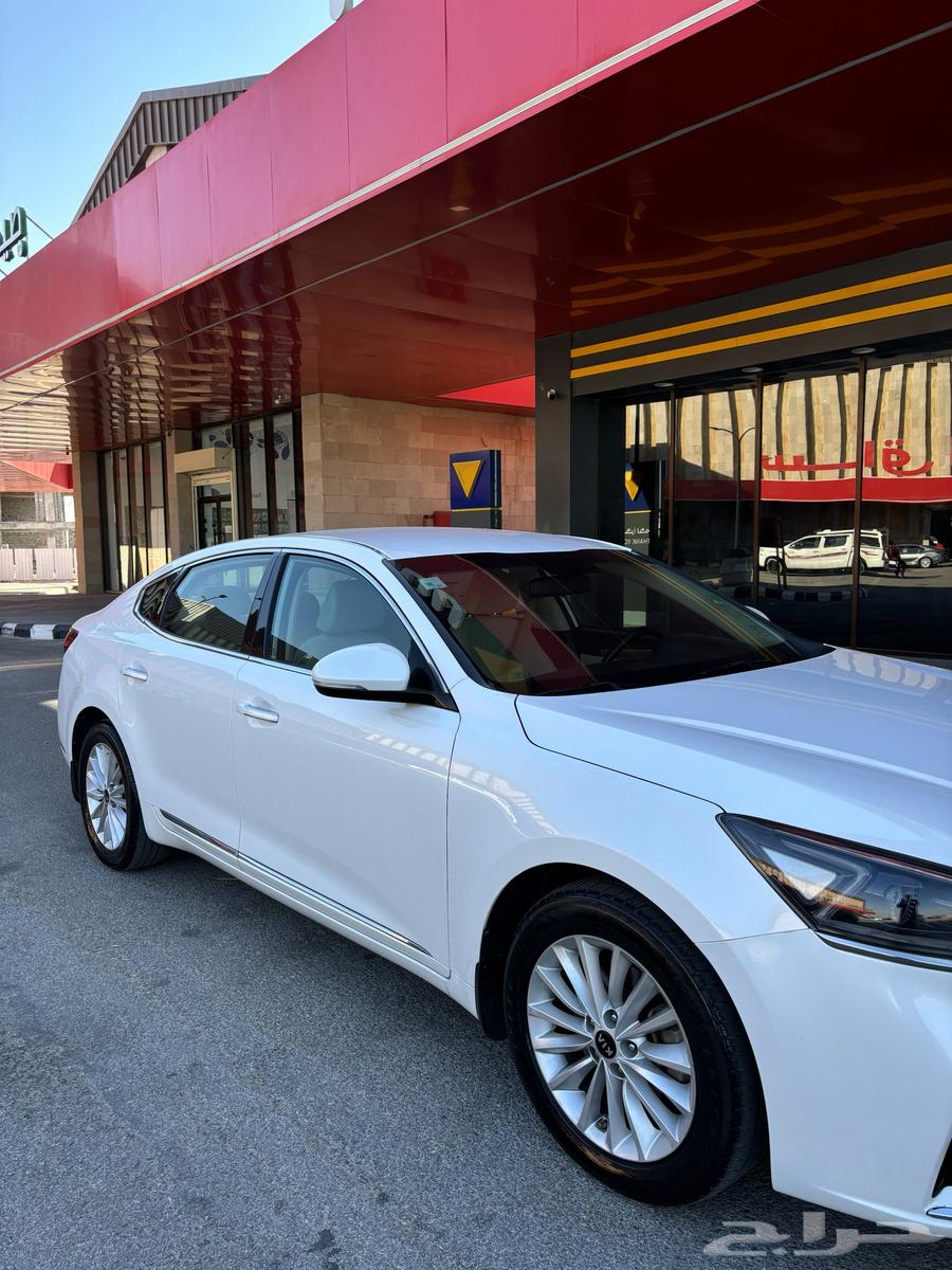 Sold Sold63616934412546113